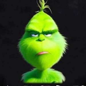 Meet your Posher, Bee